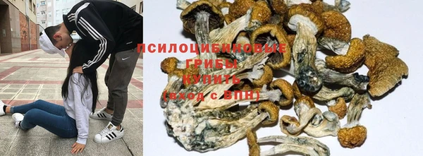 mdma Ельня
