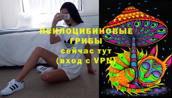 mdma Ельня
